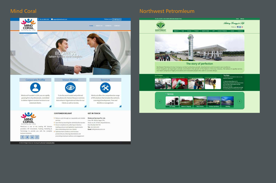 Website 4